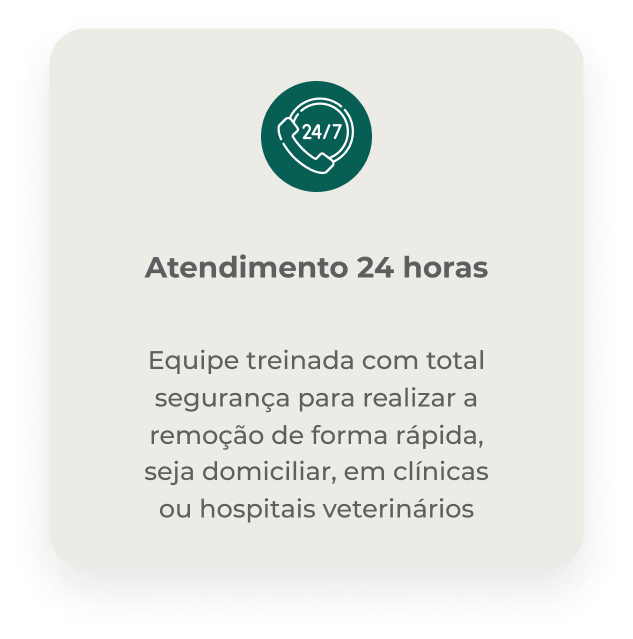 frame-5987-65245d3298471